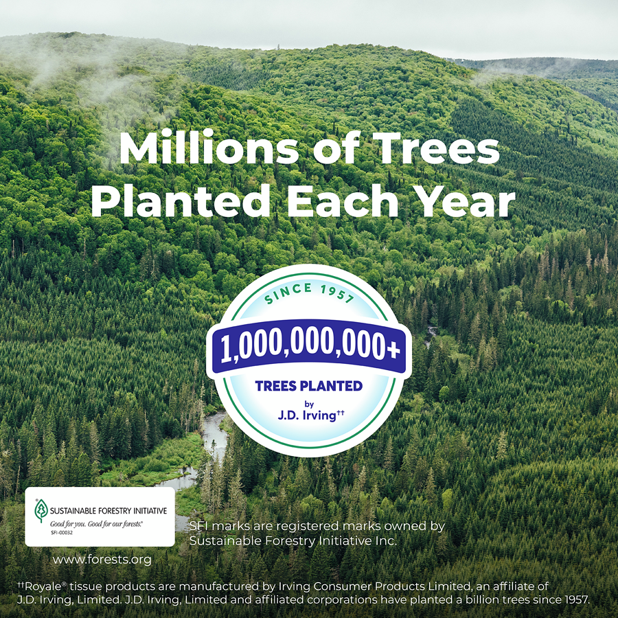 21187145_back_a06_@2